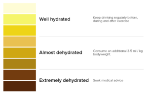 The colour of your urine is an indication of your hydration status